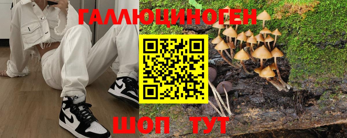 Псилоцибиновые грибы прущие грибы  Вход с VPN  Георгиевск  наркота  Псилоцибиновые грибы мицелий 