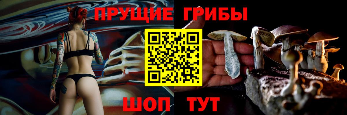 Псилоцибиновые грибы Magic Shrooms Георгиевск